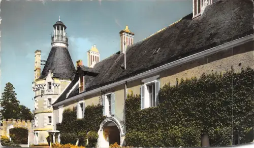 BF106 thouare le chateau France