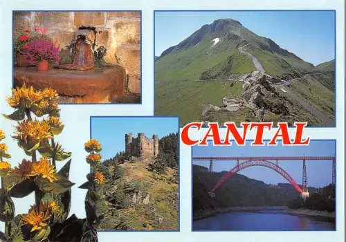 BT8684 puy mary chaudes aigues cantal France