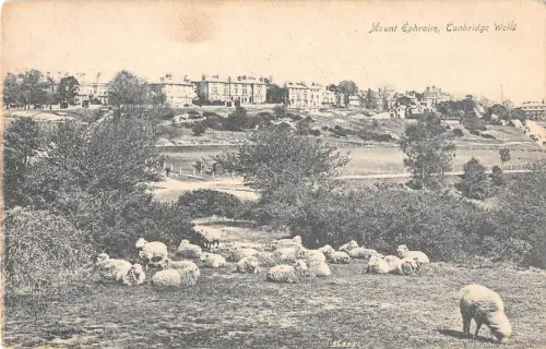 uk13877 mount ephriam tunbridge wells real photo uk