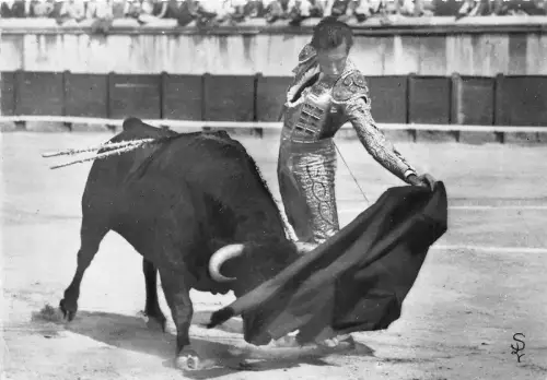 BF40392 luis miguel dominuin une jolie passe corrida toros bull taureau