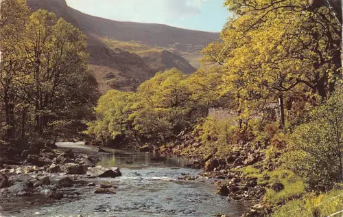 B103904 river derwent borrowdale uk