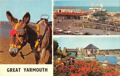 B103870 great yarmouth donkey uk