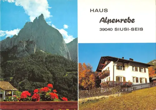 BR84988 dolomitien schlerngebiet haus alpenrebe italien seis
