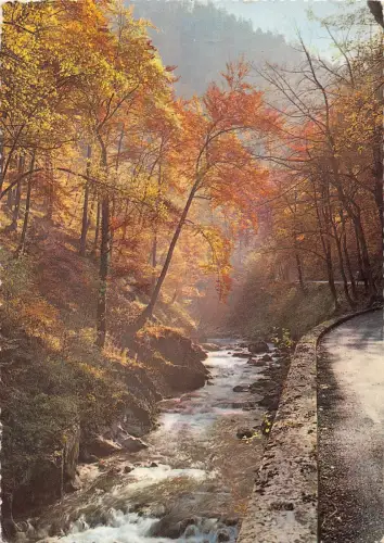 BR50052 route des alpes teinte d automne et brume matinale Frankreich Frankreich