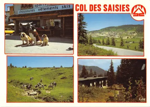 BT10662 Col des saisies proprietatires des saint bernard Frankreich