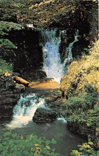 B88289 llynfell falls dan yr ogo of caves swansea valley wales 14x9cm