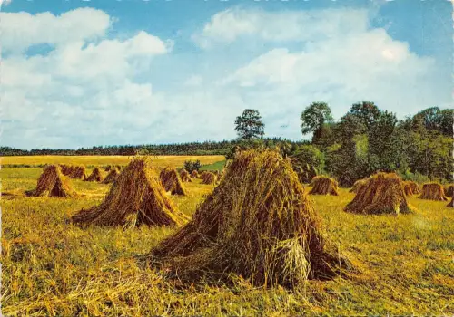 BF1777 Typen Folklore Jugoslawien