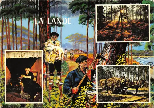 BR25677 La lande Coucher de Solekl dans la foret 2 Scans Frankreich