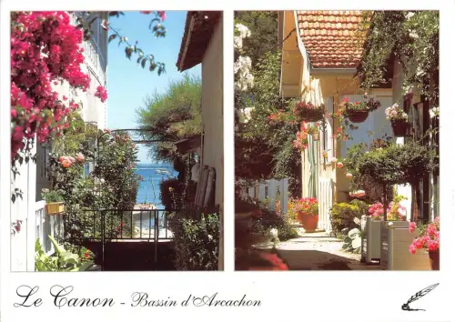 BT7900 Le canon bassin d arcachon France