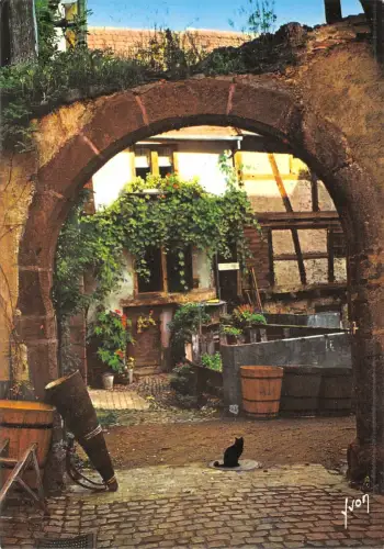 BF2204 riquewihr cour des juifs france