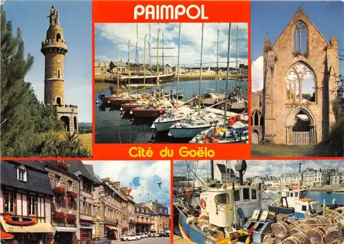 BR31457 Paimpol la Tour de Jerroch Frankreich
