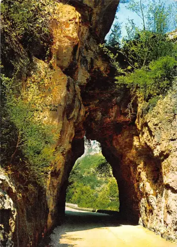 BT5212 les Gorges du tarn un des nombreux rochers France
