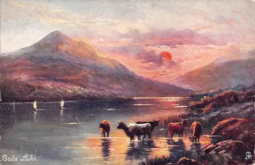 BR67507 Bala See Kuh Postkarte Gemälde Wales