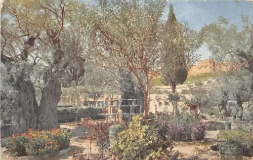 Lot206 Gethsemani Israel