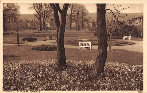 uk14028 blenheim gardens minehead real photo uk