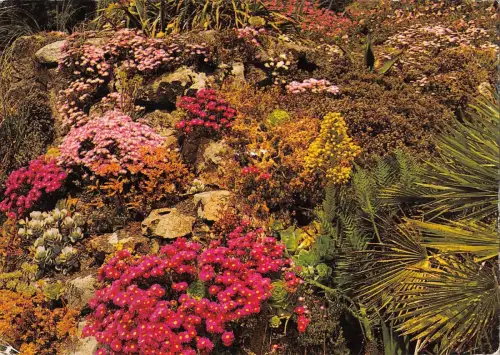 BR90780 tresco gardens isles of scilly 1 uk