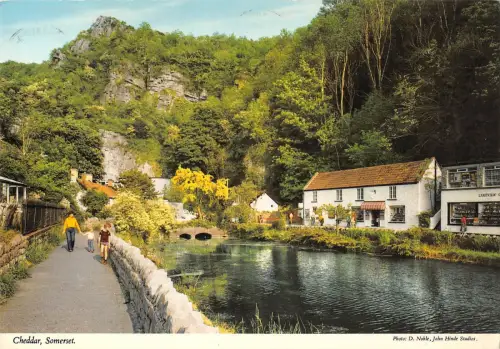 BR82695 cheddar somerset uk