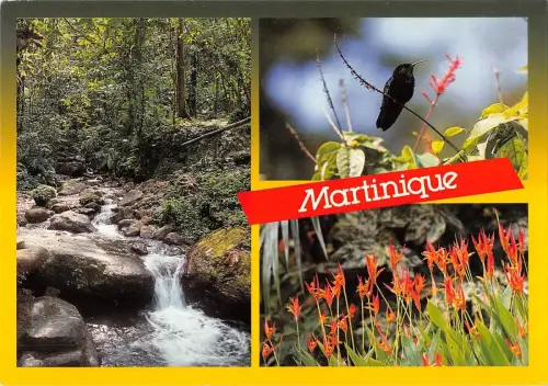 BT7783 Nature tropicale le colibri martinique Frankreich