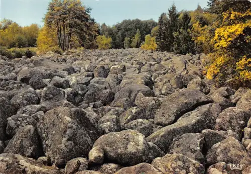 BT9547 Champ de roches a Barbey seroux France