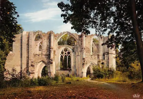 BR54788 Meluna Dammarie les Lys Frankreich