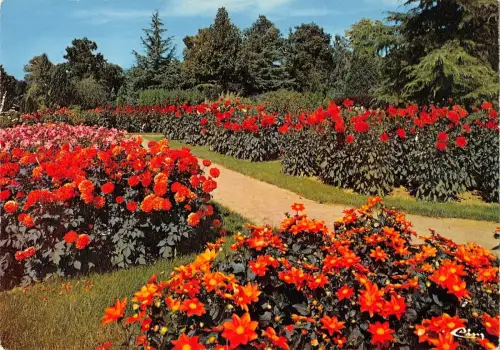 BT6400 Parc floral de la source a orleans les dalhias France 1 2 3