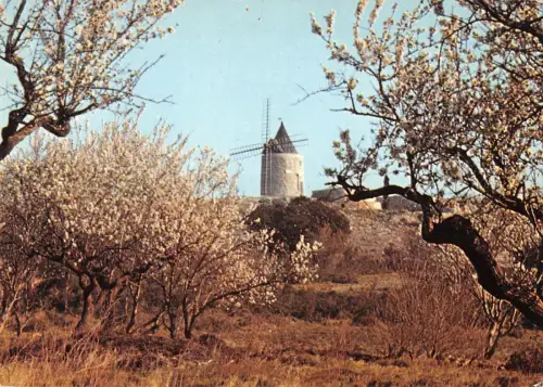 BT1256 a daudet images de provence moulin a vent windmill mill france