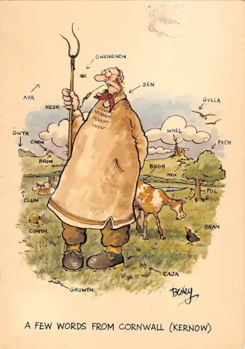 BR91587 ein paar Worte aus Cornwall Kernow Postkarte UK
