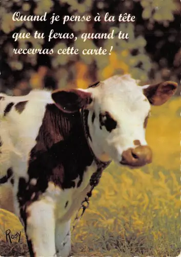 Br43924 quand je pense a la tete que tu feras quand tu recevras cette c Cow vach