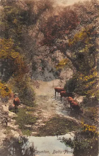 BR96037 frith s 48744 taunton batts park deer uk