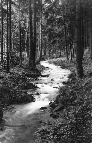 BG28945 seesen a harz forellenstieg germany CPSM 14x9cm