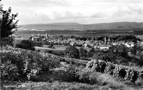 BG22941 ingelheim a rh am schonen rhein germany CPSM 14x9cm