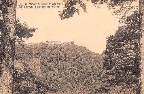 BF10373 mont ste odile le couvent a travers les arbres france Frankreich