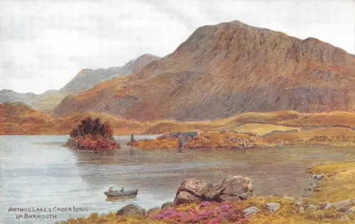 BR96417 Arthog Lake Cader Idris Barmouth Postkarte Lachs 2228 UK