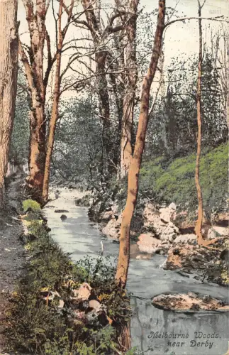 uk15821 melbourne woods derby uk