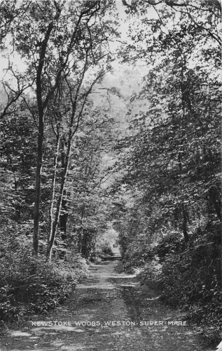 uk15600 kewstoke woods weston super mare real photo uk