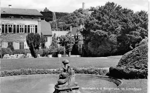 BG23535 weinheim a d bergstarsse im schlosspark germany CPSM 14x9cm