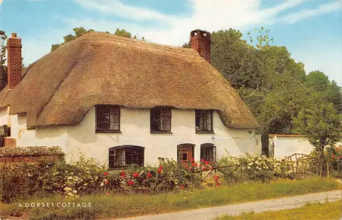 uk8016 a dorset cottage uk