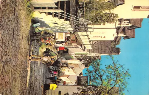 uk8035 down a long clovelly uk donkey