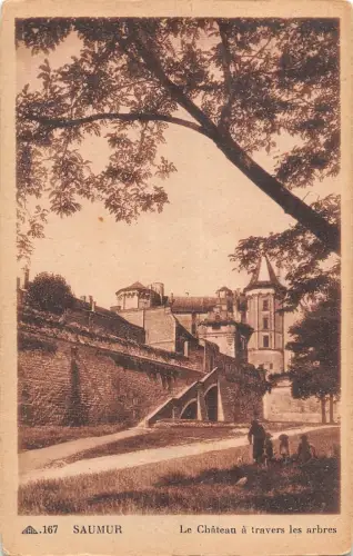 BF9379 le chateau a travers les arbres saumur france Frankreich