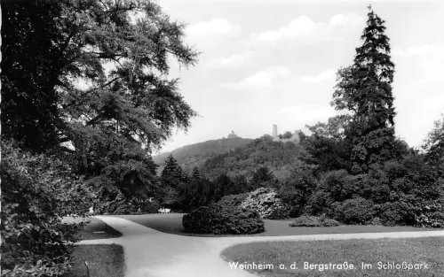 BG23531 weinheim a d bergstrasse im schlosspark germany CPSM 14x9cm