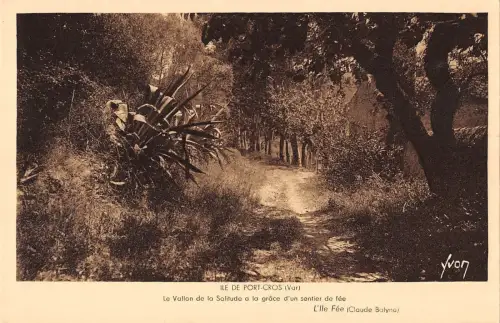 BF6139 ile de port cros var le allon de la solitude a france Frankreich