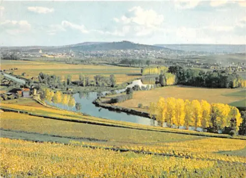 BR22224 La Marne Vue de nos Vignobles d Hautvillers Epernay france