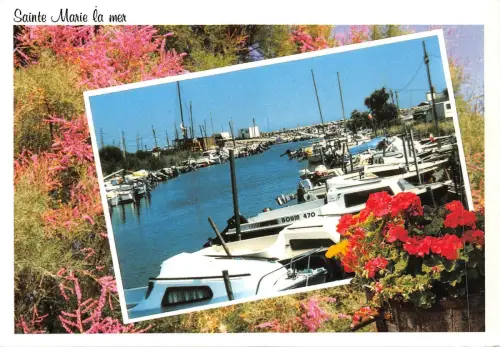 BF1528 sainte marie la mer Frankreich