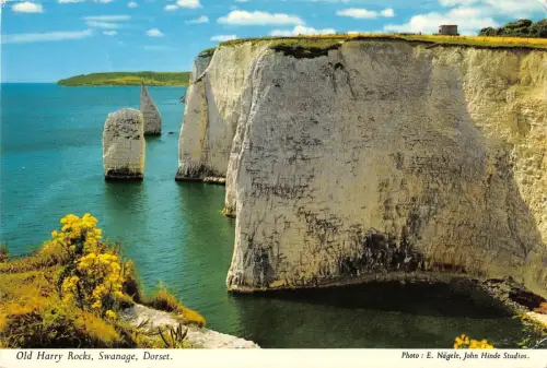 BR92504 old harry rocks swanage dorset uk