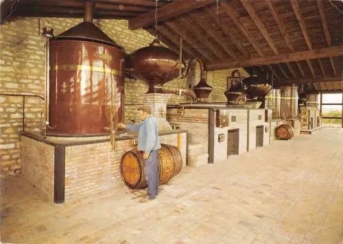 BT8483 Lorignac chateau de Beaulon Frankreich