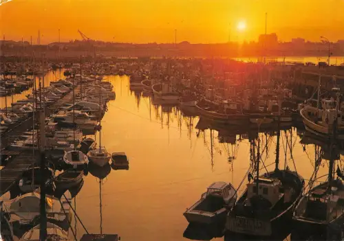BR50116 Royan ombres et lumires sur le port au lever du soleil France