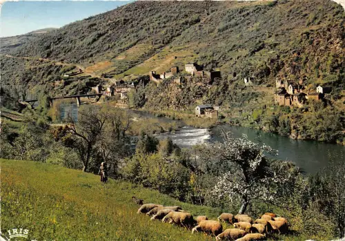 BR26512 Vallee du Tarn dite vallee de l amitie Barousse le chateau Frankreich