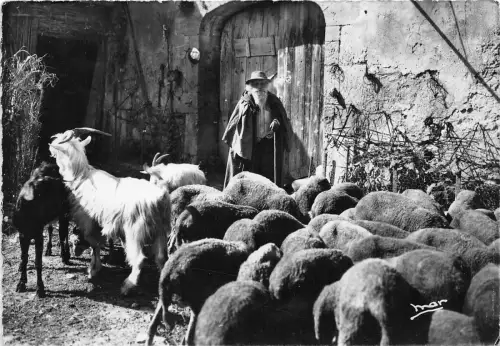 BR20680 La Provence le pluis vieux Berger des Baux Schafmouton Frankreich