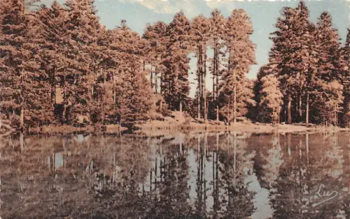 BR7017 Donon Le lac de Lamox france