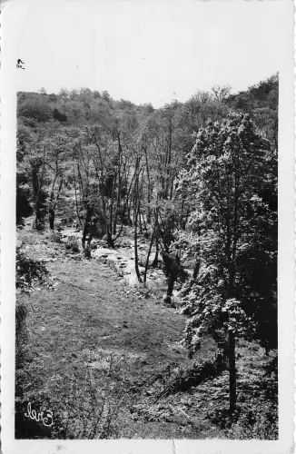 BR7565 St Suplice les Feuilles Va le de la Benaize france